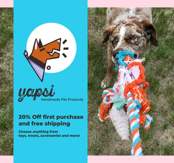 (Fake) Yapsi Dog Brand Social Media Ad